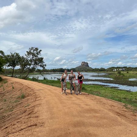 Sigiri Shen Residence Sigiriya Bagian luar foto