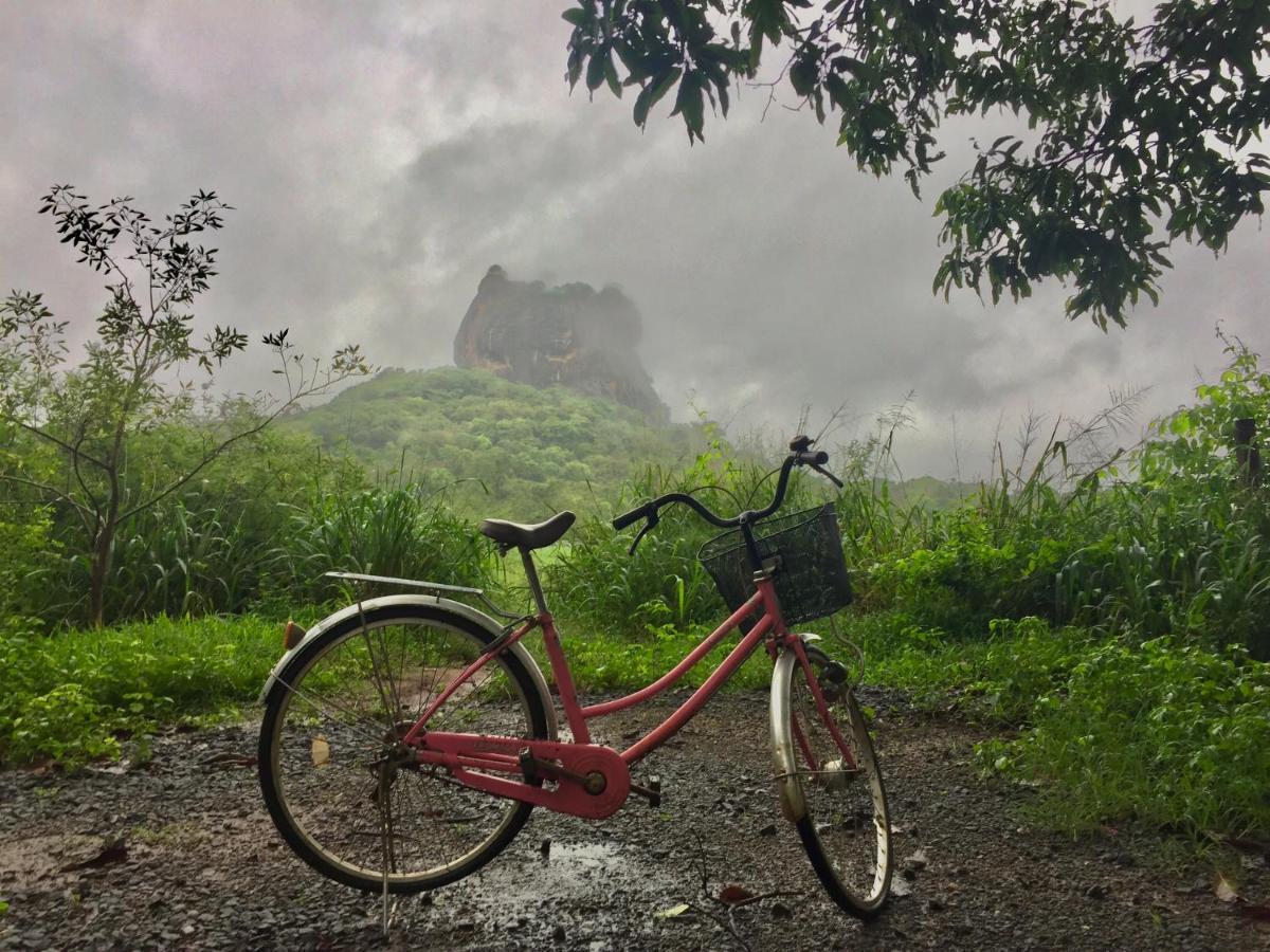 Sigiri Shen Residence Sigiriya Bagian luar foto