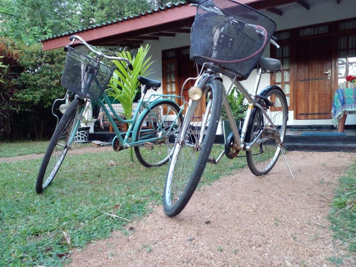 Sigiri Shen Residence Sigiriya Bagian luar foto