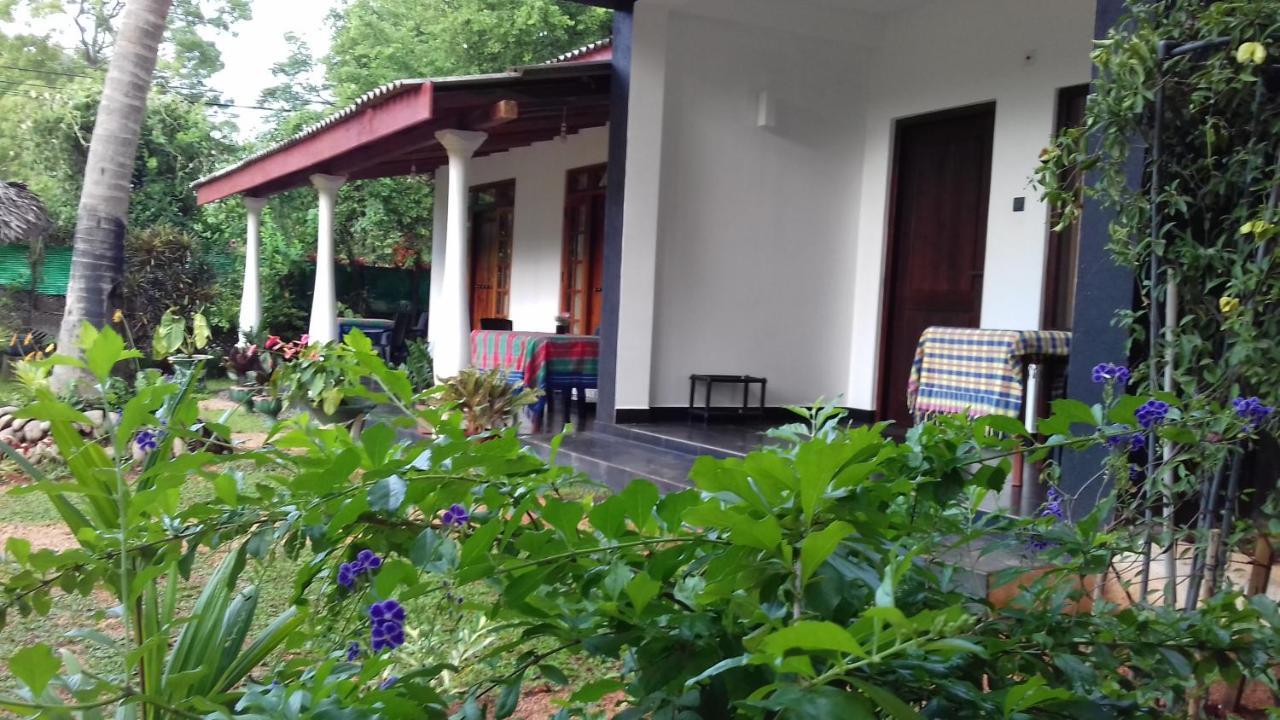 Sigiri Shen Residence Sigiriya Bagian luar foto