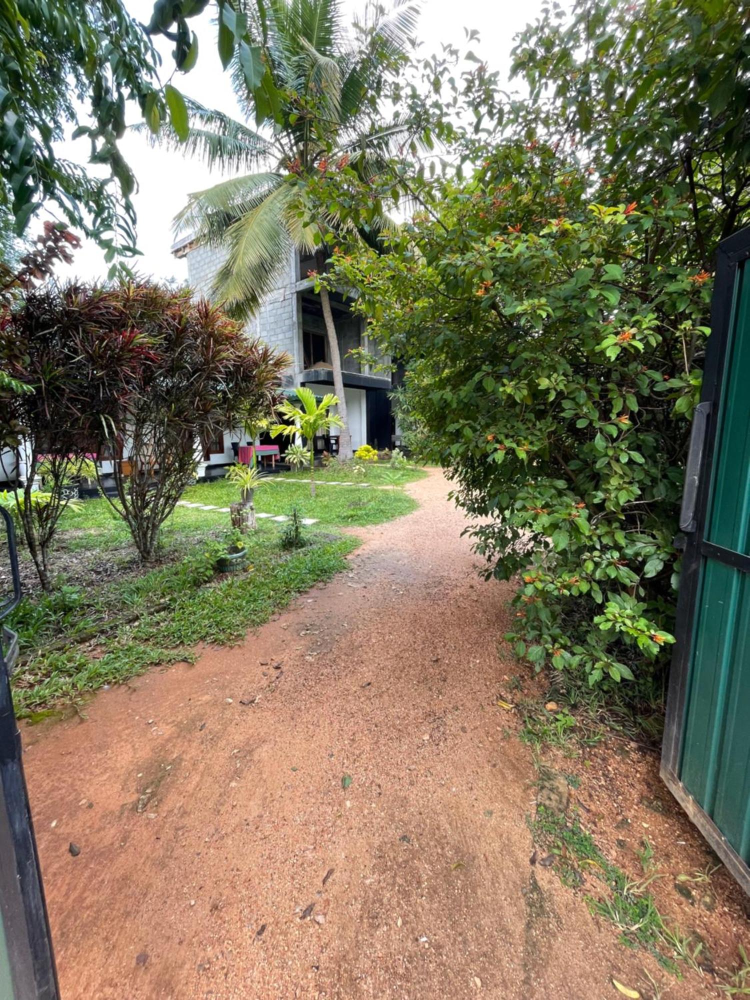 Sigiri Shen Residence Sigiriya Bagian luar foto