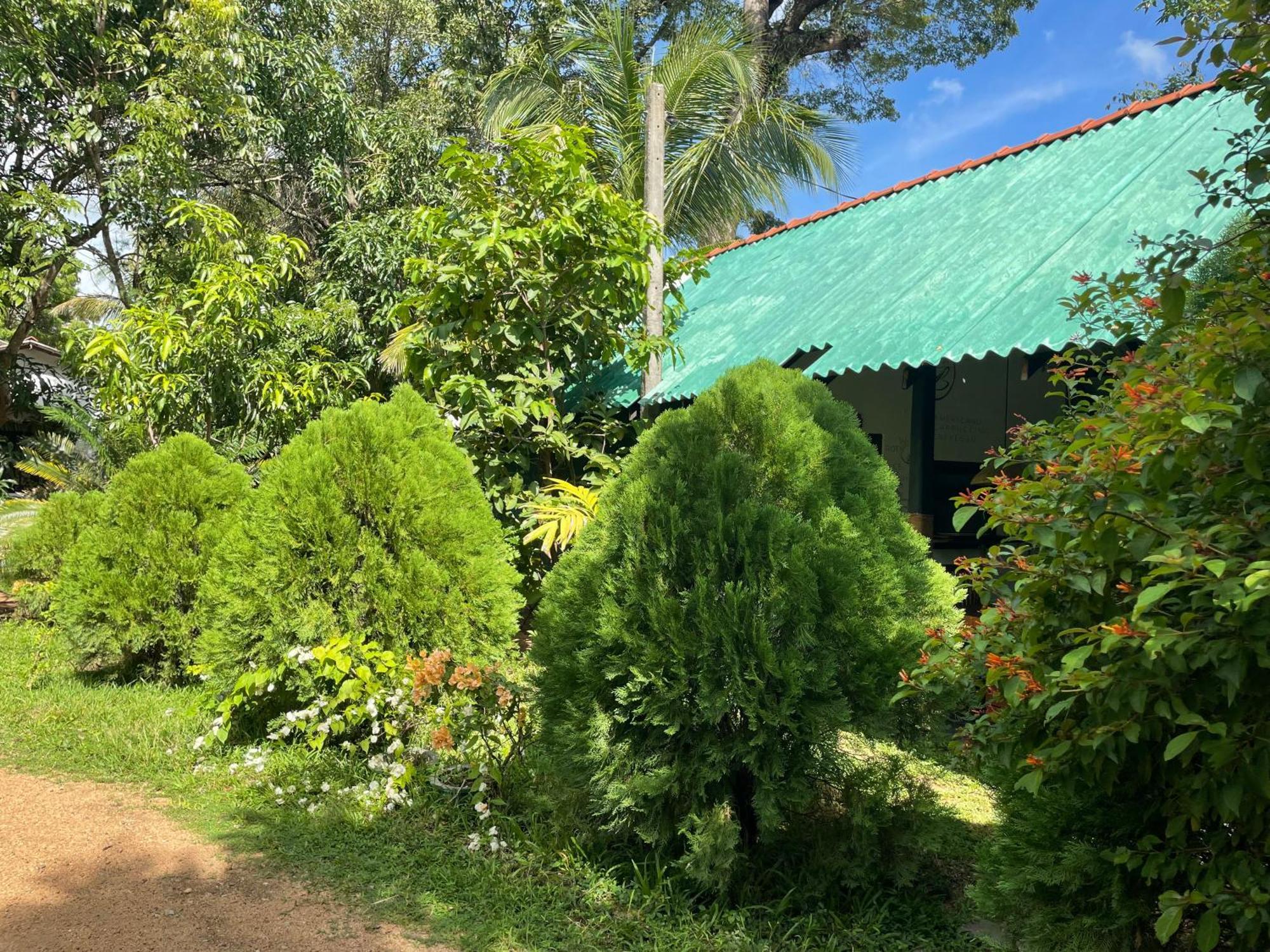 Sigiri Shen Residence Sigiriya Bagian luar foto