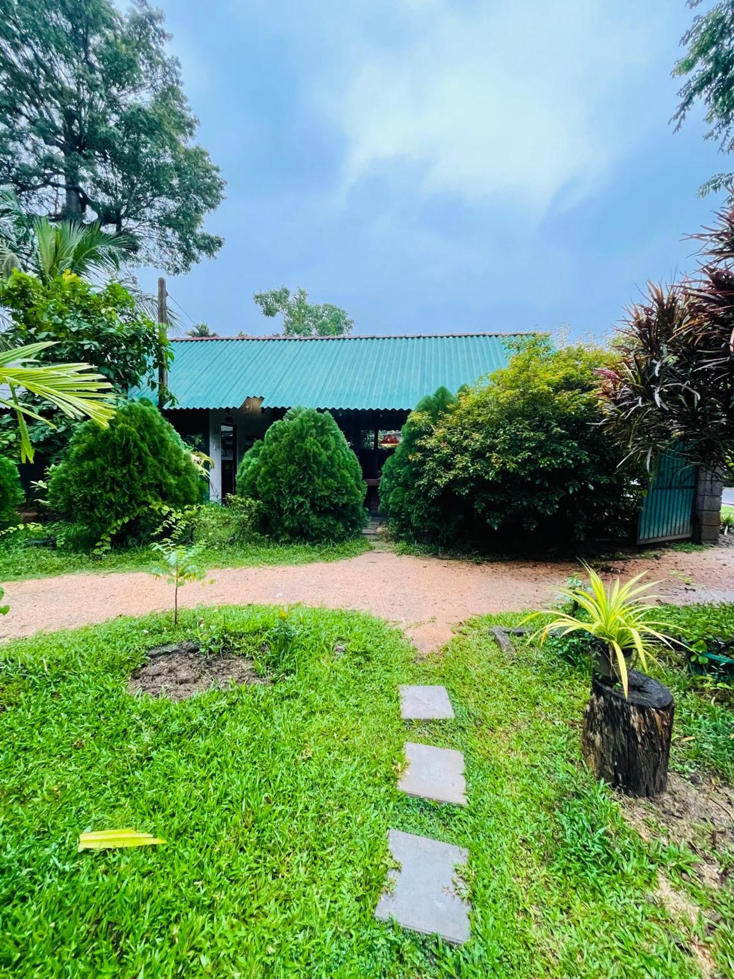 Sigiri Shen Residence Sigiriya Bagian luar foto