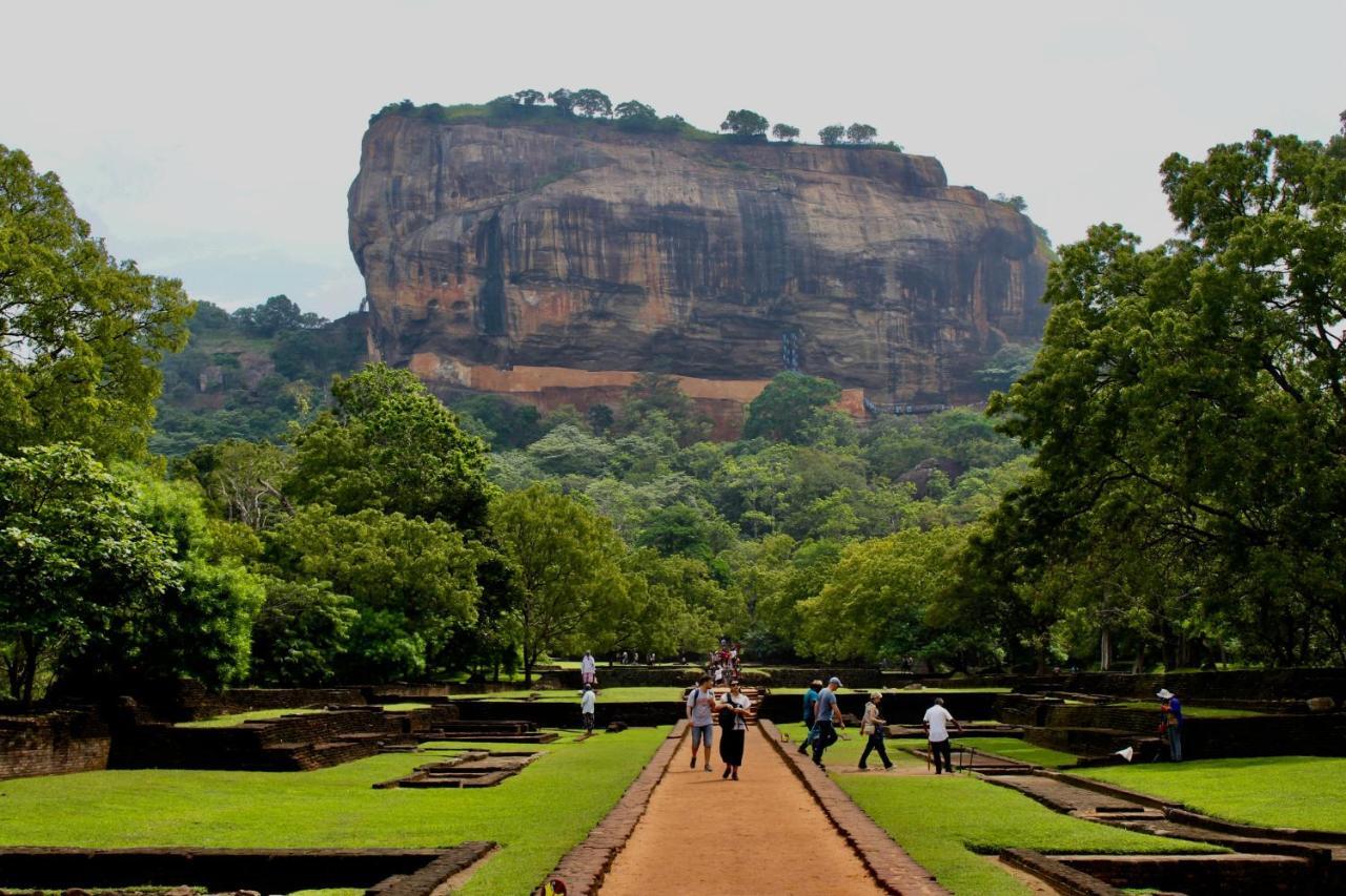 Sigiri Shen Residence Sigiriya Bagian luar foto