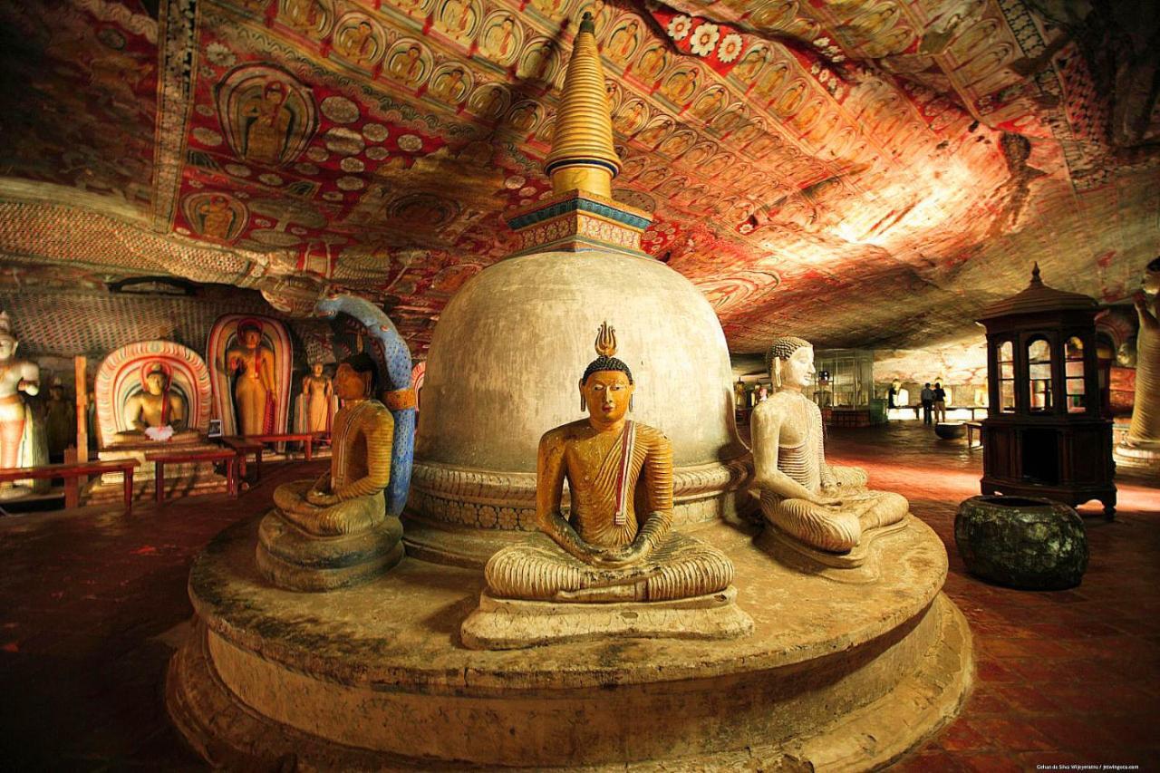 Sigiri Shen Residence Sigiriya Bagian luar foto