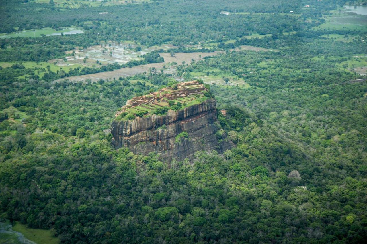 Sigiri Shen Residence Sigiriya Bagian luar foto