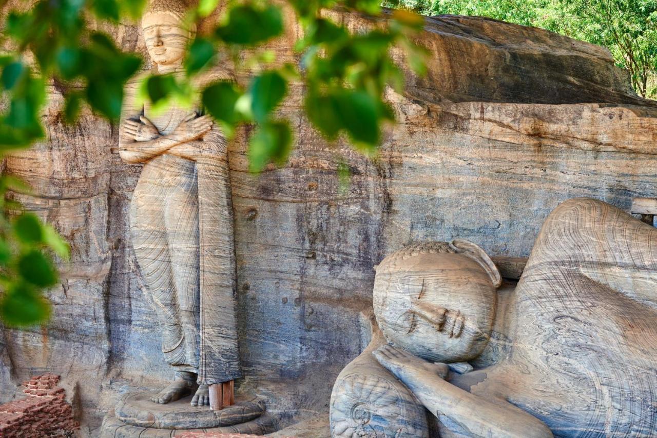 Sigiri Shen Residence Sigiriya Bagian luar foto