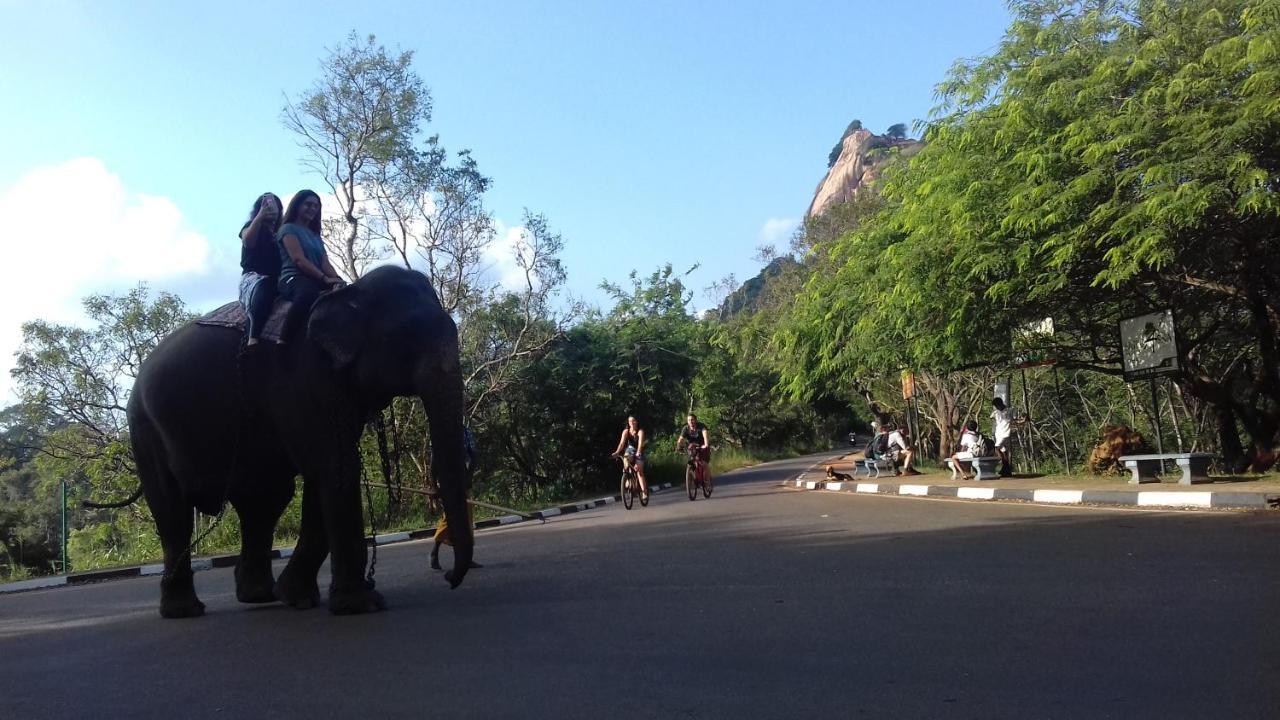 Sigiri Shen Residence Sigiriya Bagian luar foto